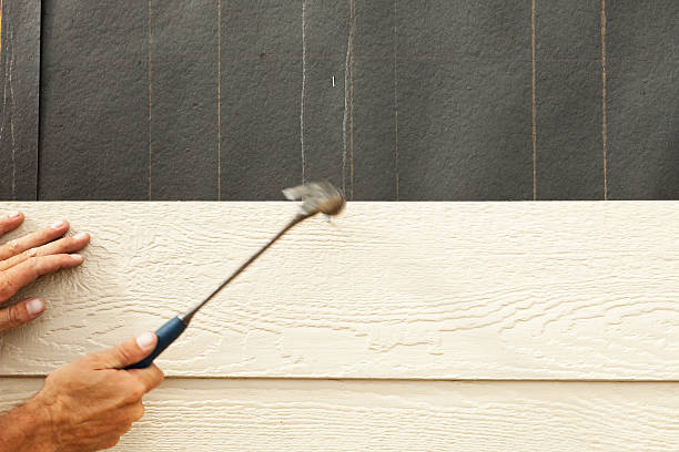 Best Siding Painting and Refinishing  in Poncha Springs, CO